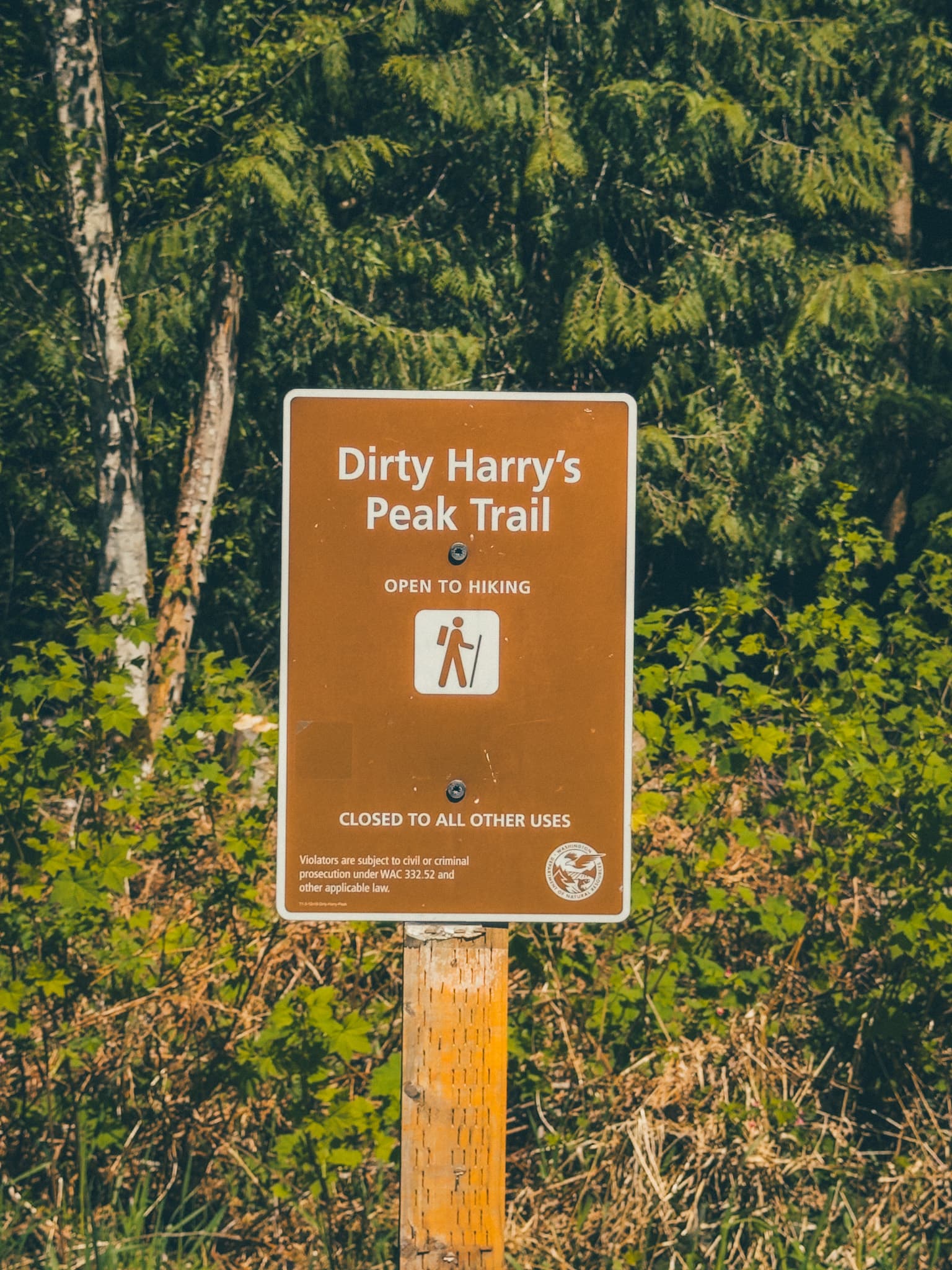 Dirty Harry's Peak Trail sign at the trailhead
