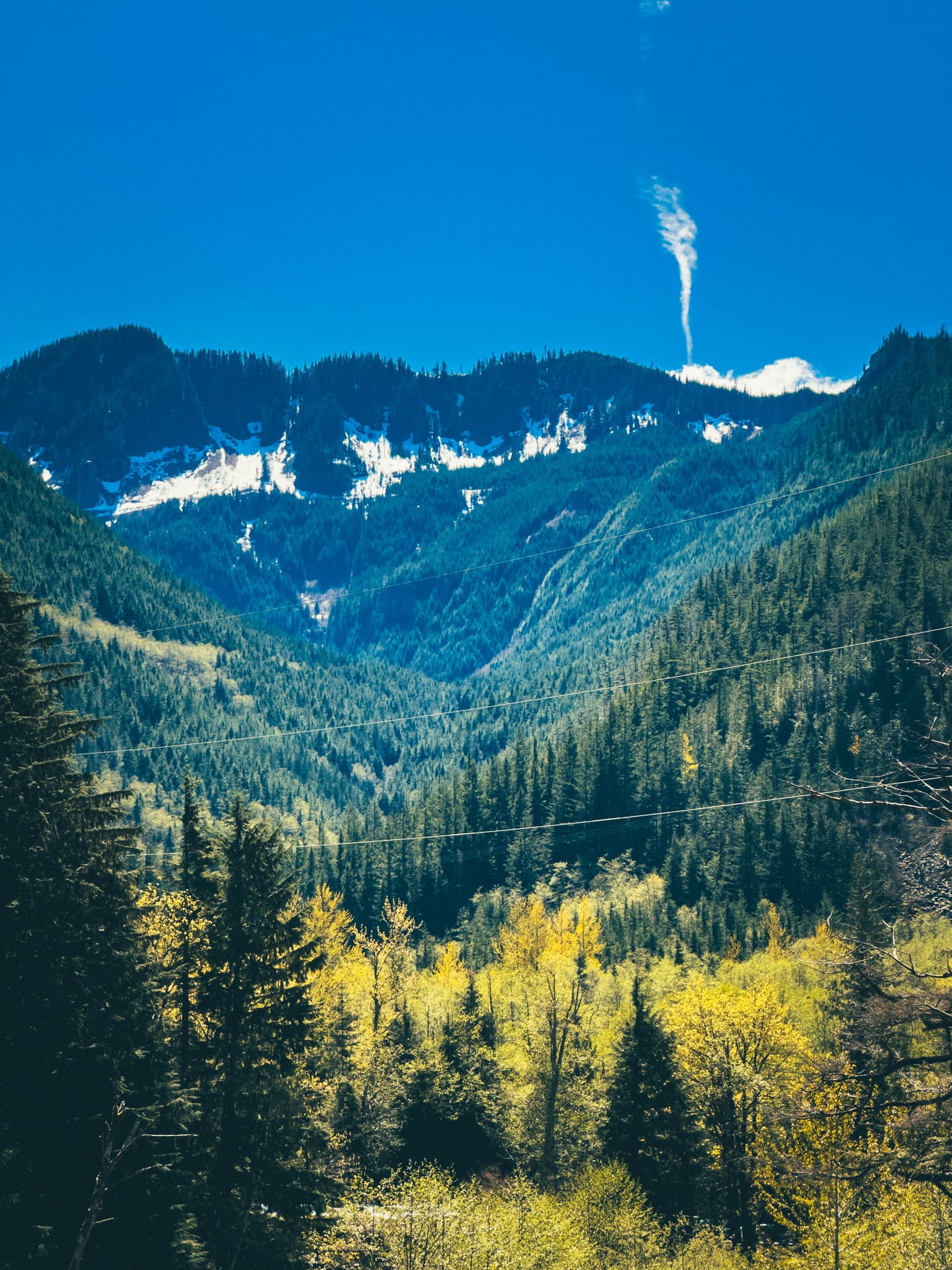 Snow-capped Cascade peak rising above the forested valley on the drive in