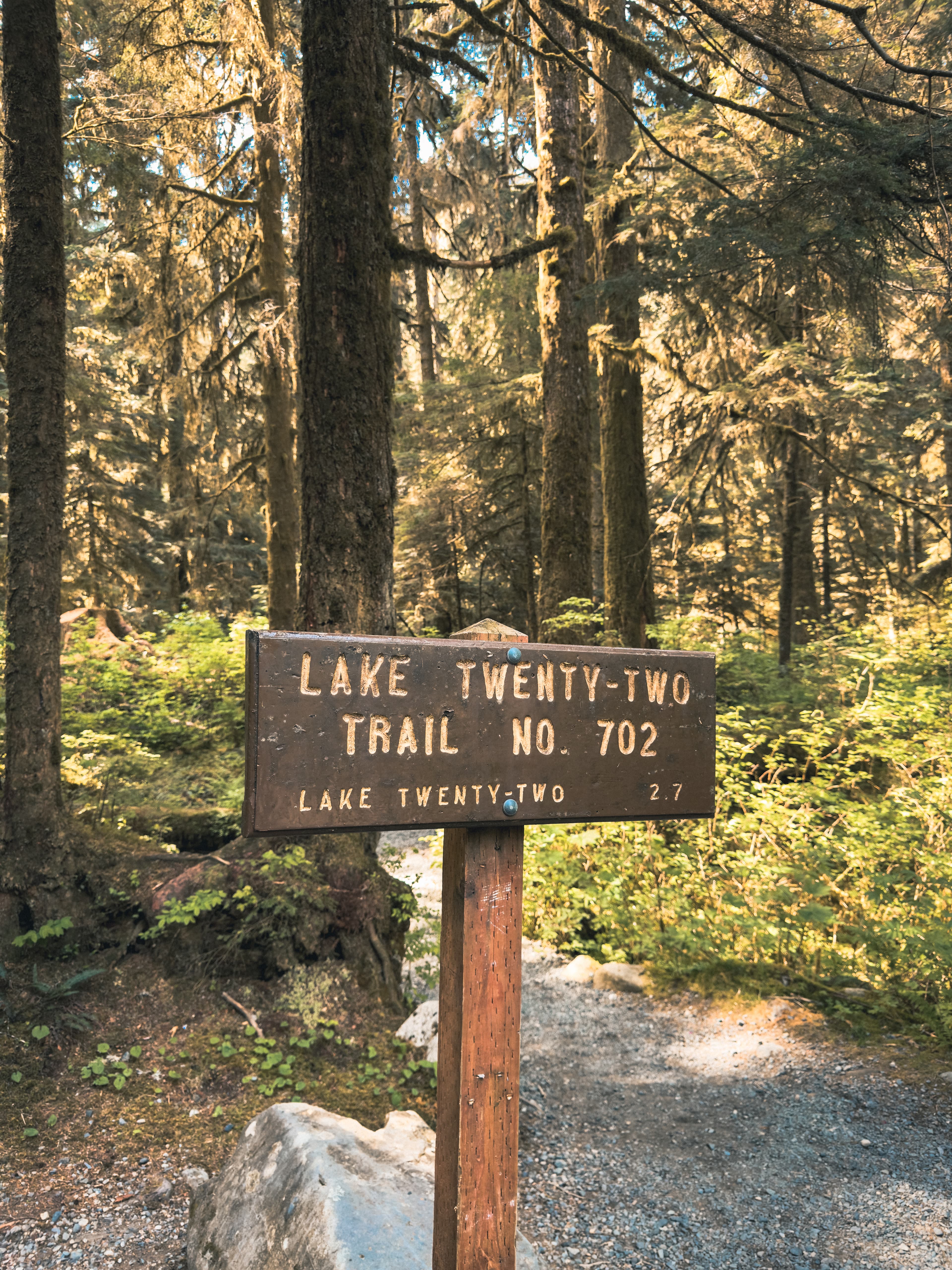 Lake Twenty-Two Trail No. 702 sign in old-growth forest