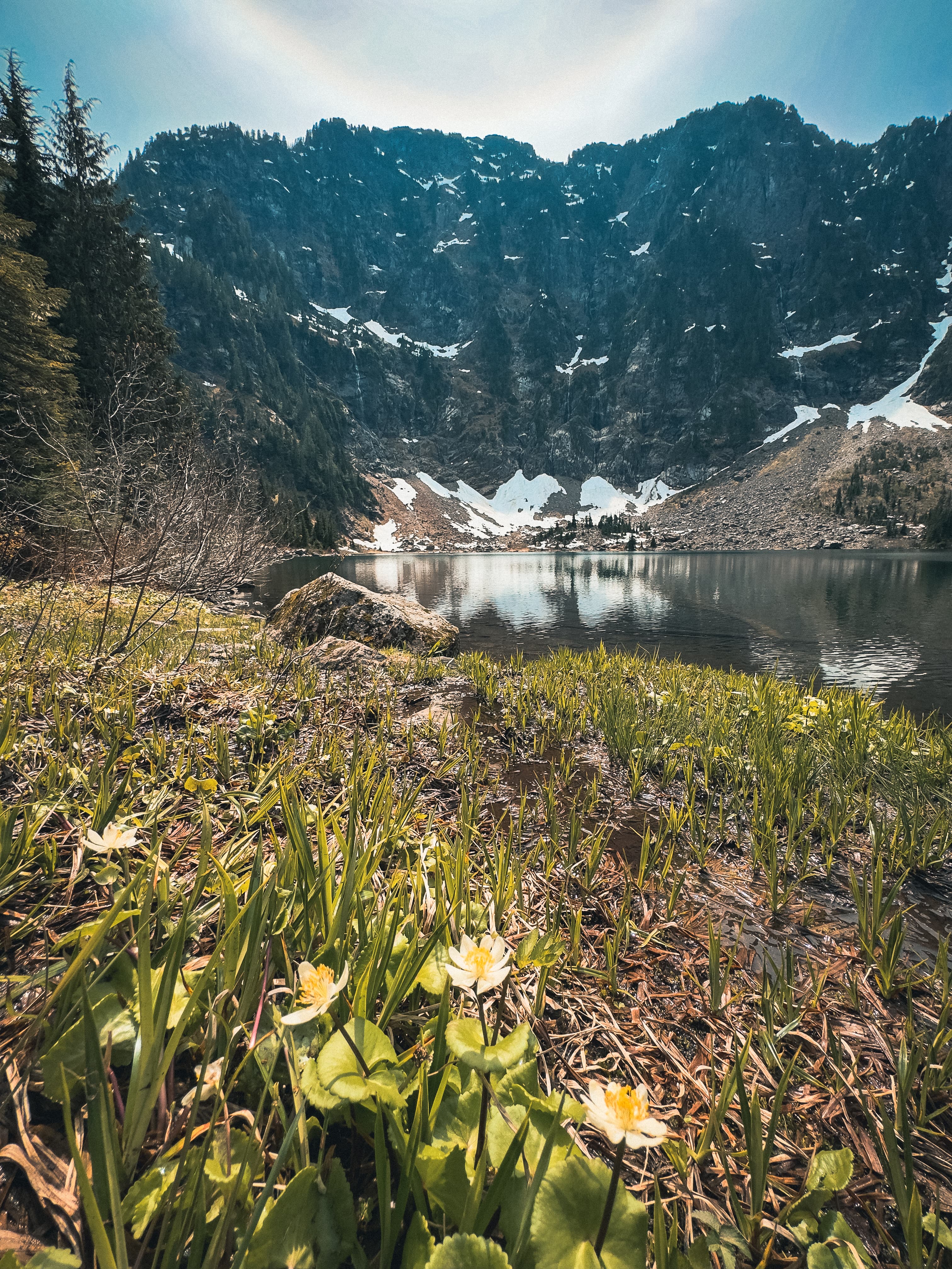 White wildflowers at the edge of Lake 22 with snowy peaks behind