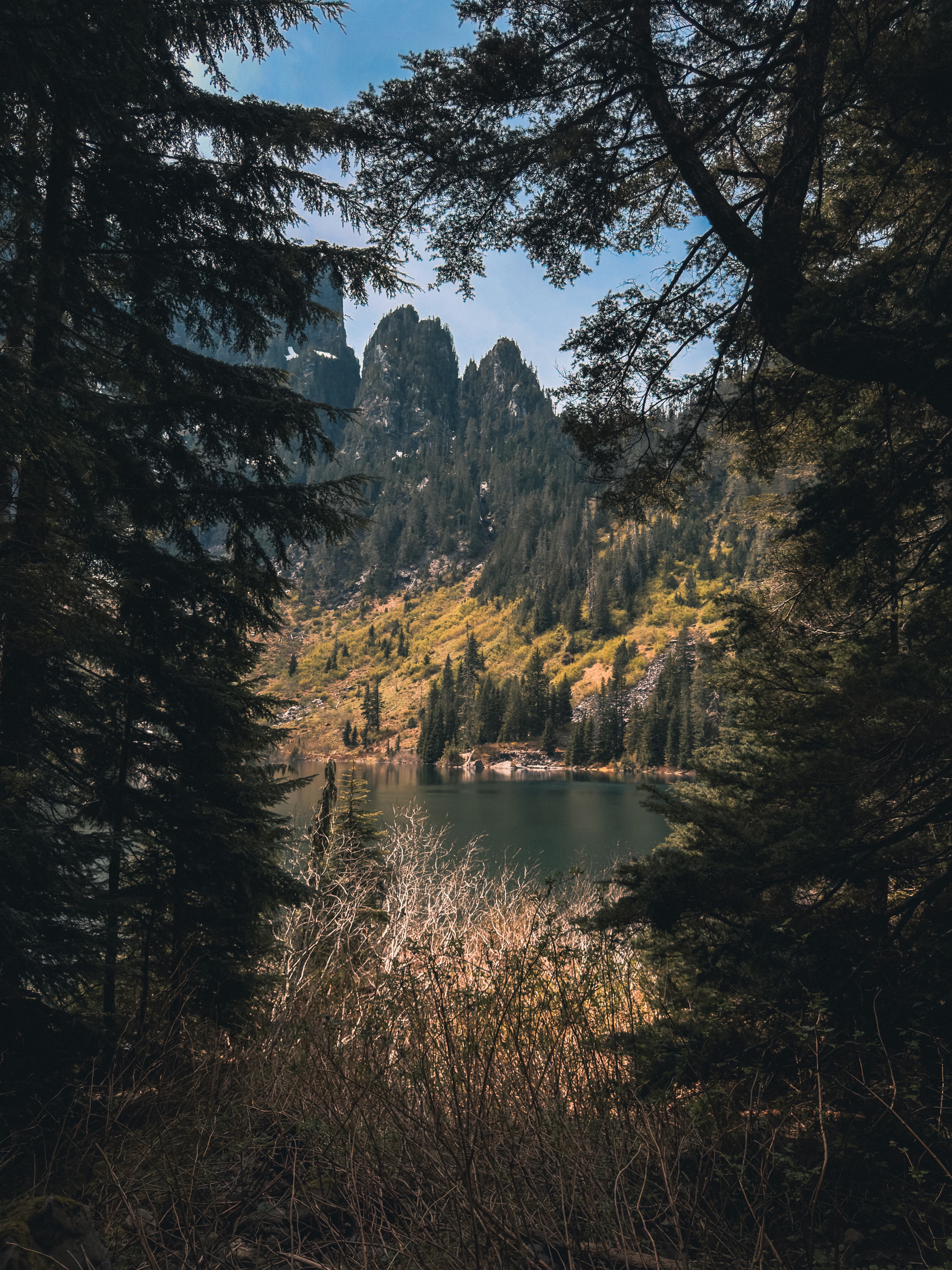 Lake 22 framed through dark pine trees with jagged rocky peaks above
