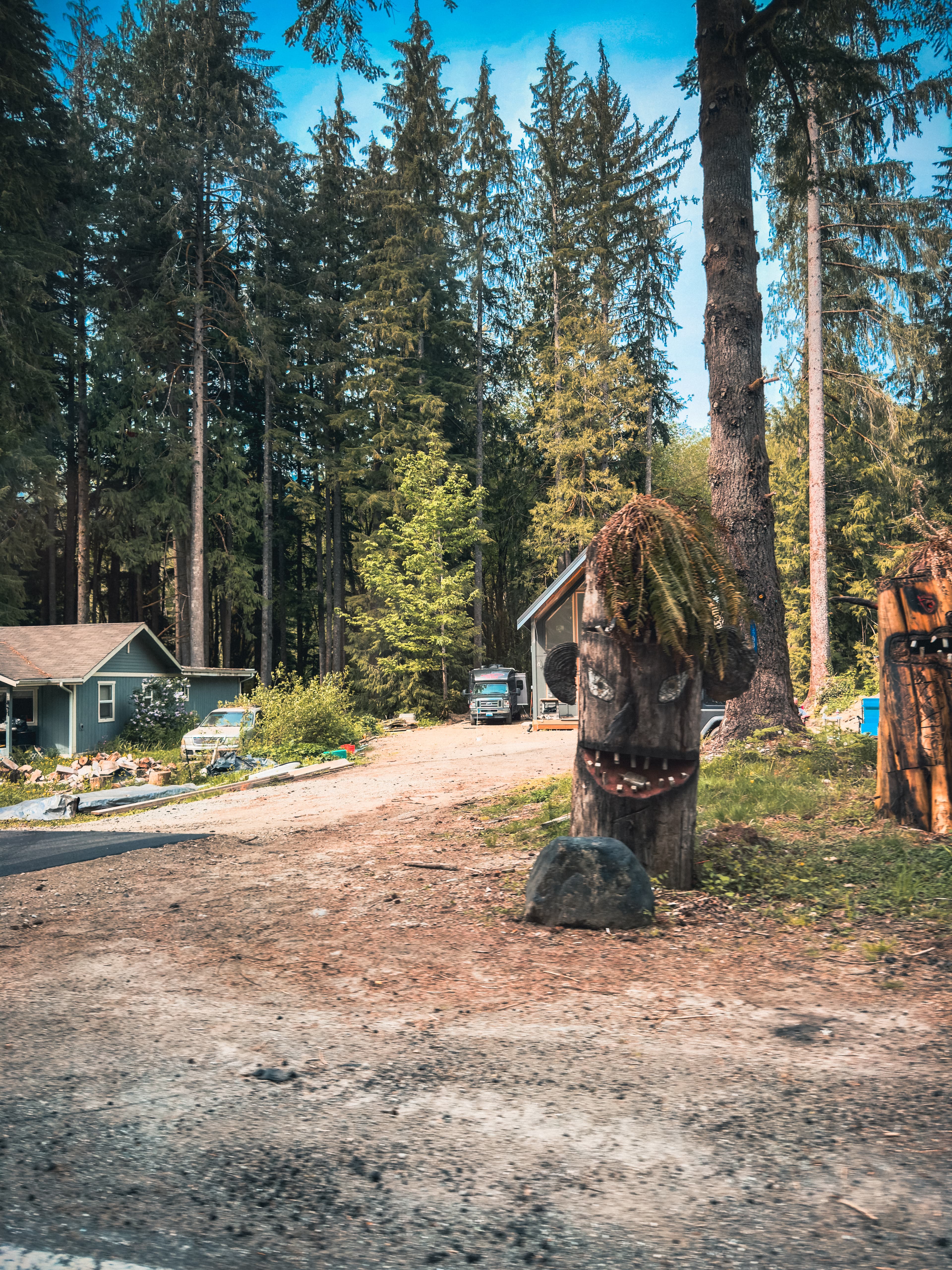 Carved tree stump face sculpture at a rural roadside property